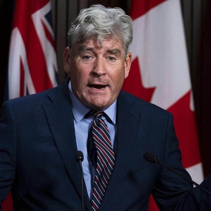 Ontario Liberals say over 80,000 members eligible to vote in leadership race